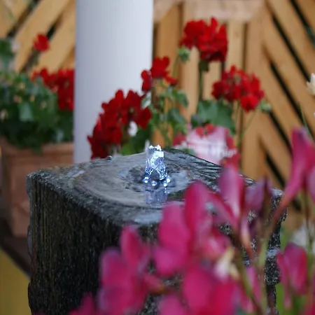 Privatpension Ulrike Homestay szállás *